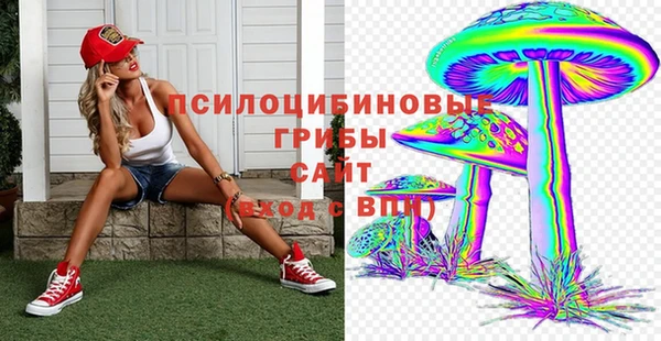 круглые Коряжма
